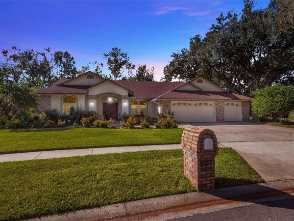 507 SURREY LANE, LUTZ, FL 33549