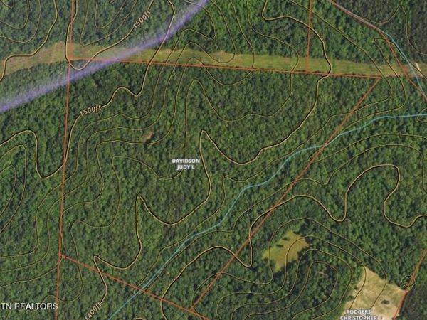 Hannah Davidson Rd, Deer Lodge, TN 37726