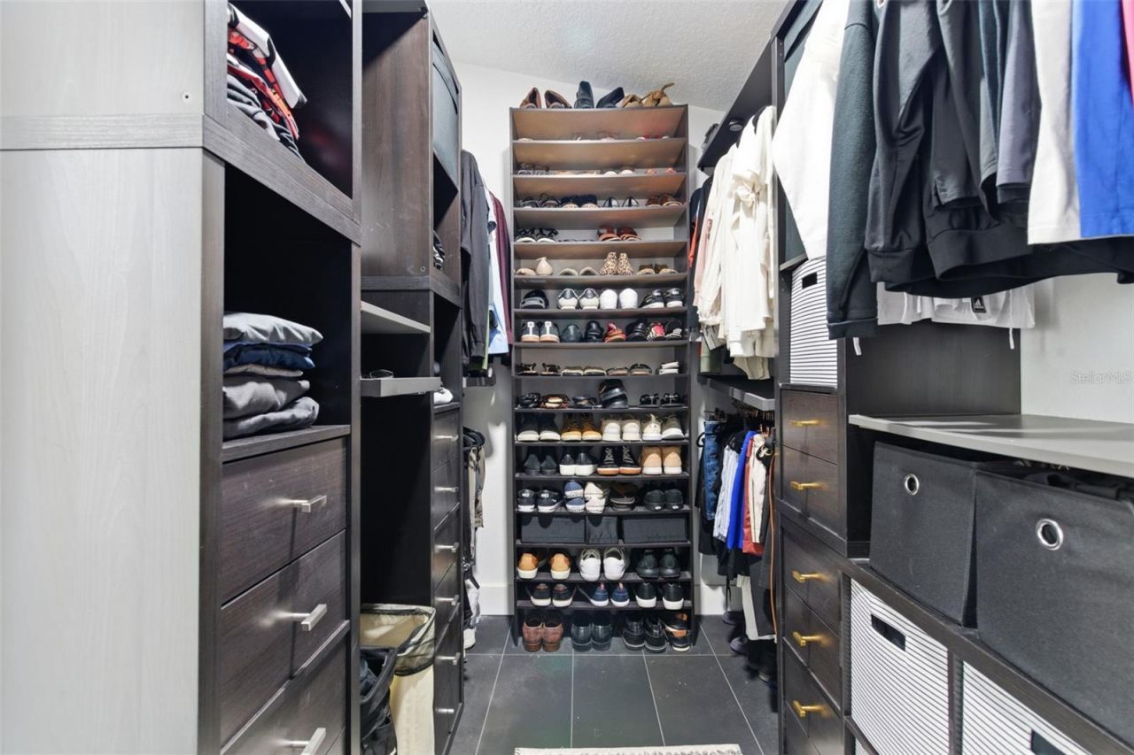 28809 Bennington Drive, Wesley Chapel, FL 33544 Photo