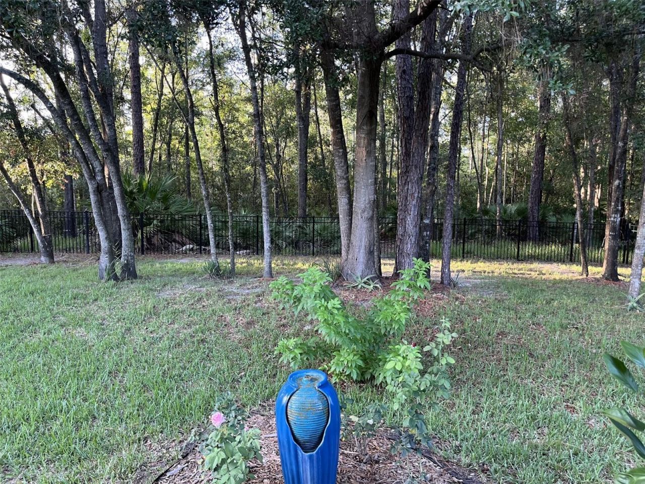 5573 Casavedra Court, Jacksonville, FL 32244 Photo