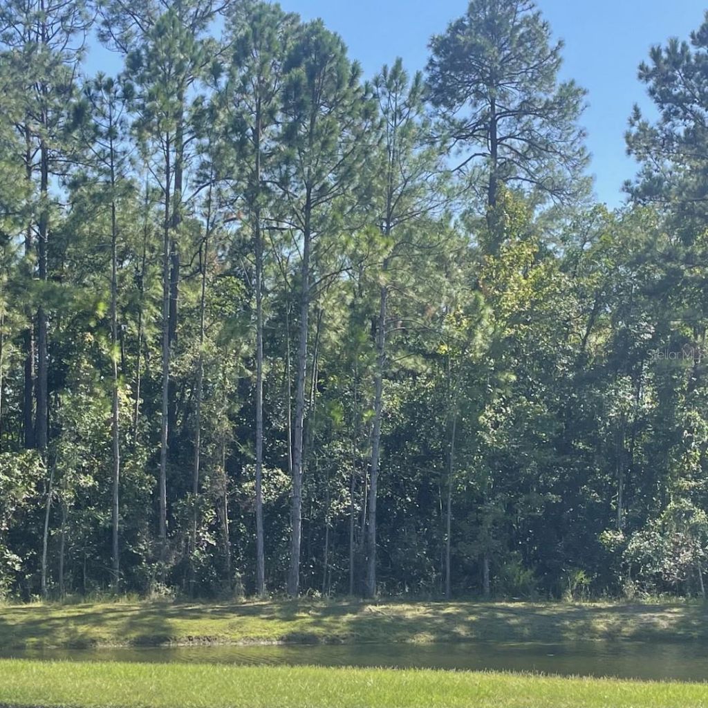 5573 Casavedra Court, Jacksonville, FL 32244 Photo