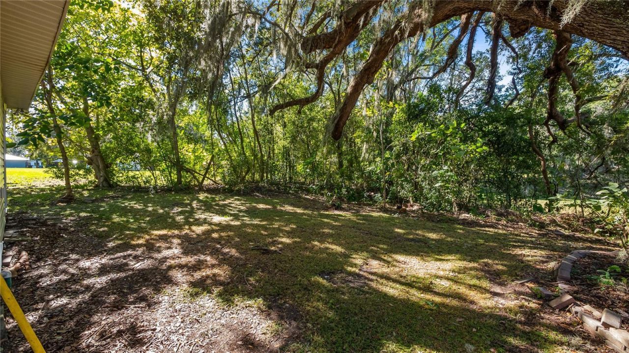 172 S Virginia Avenue, Center Hill, FL 33514 Photo