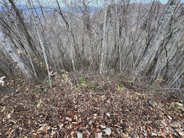 Lot 7 Deer Ridge Road, Bryson City, NC 28713