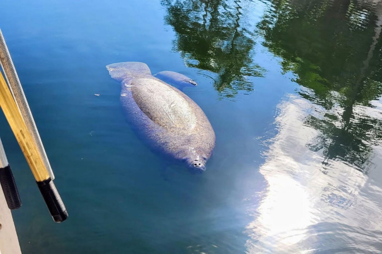 1112 Grand Street, Unit and Half L, Key Largo, FL 33037 Photo