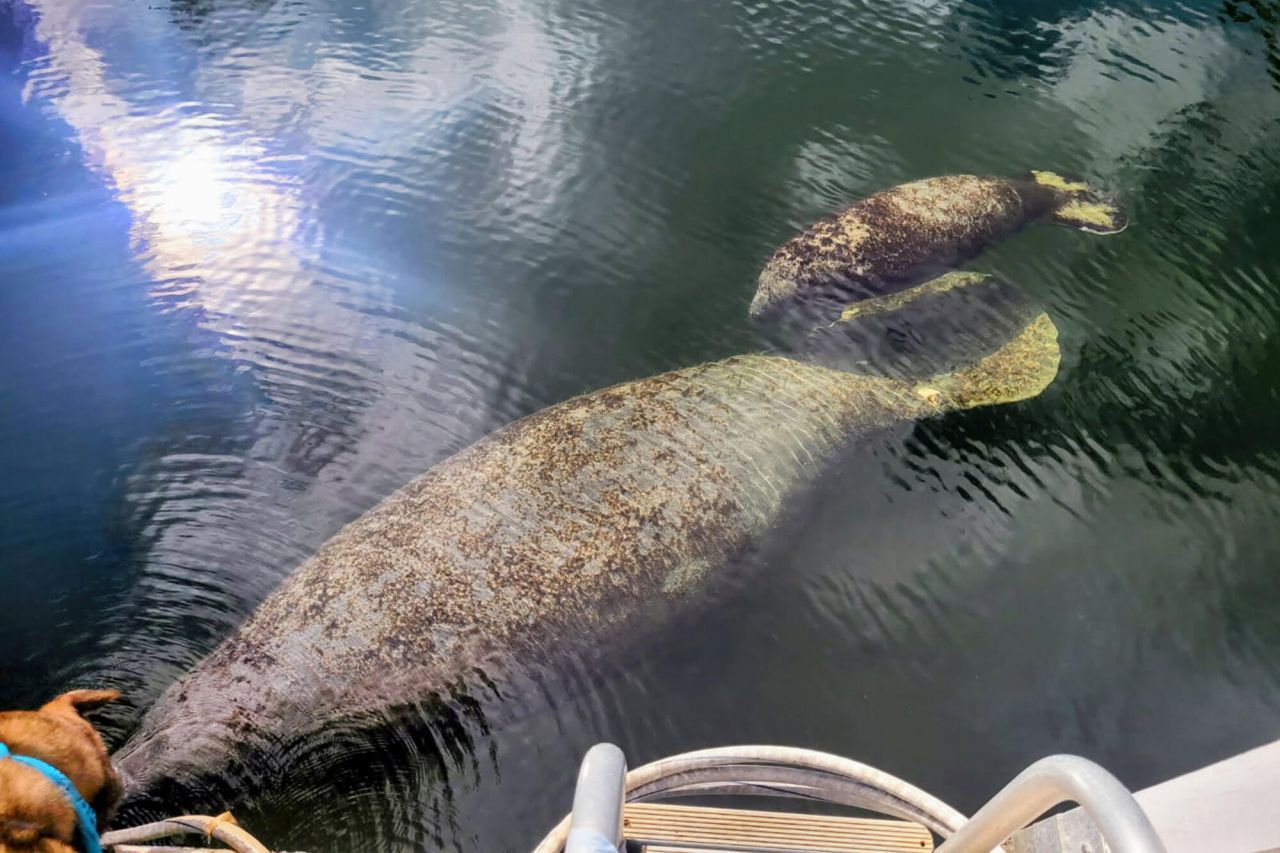 1112 Grand Street, Unit and Half L, Key Largo, FL 33037 Photo