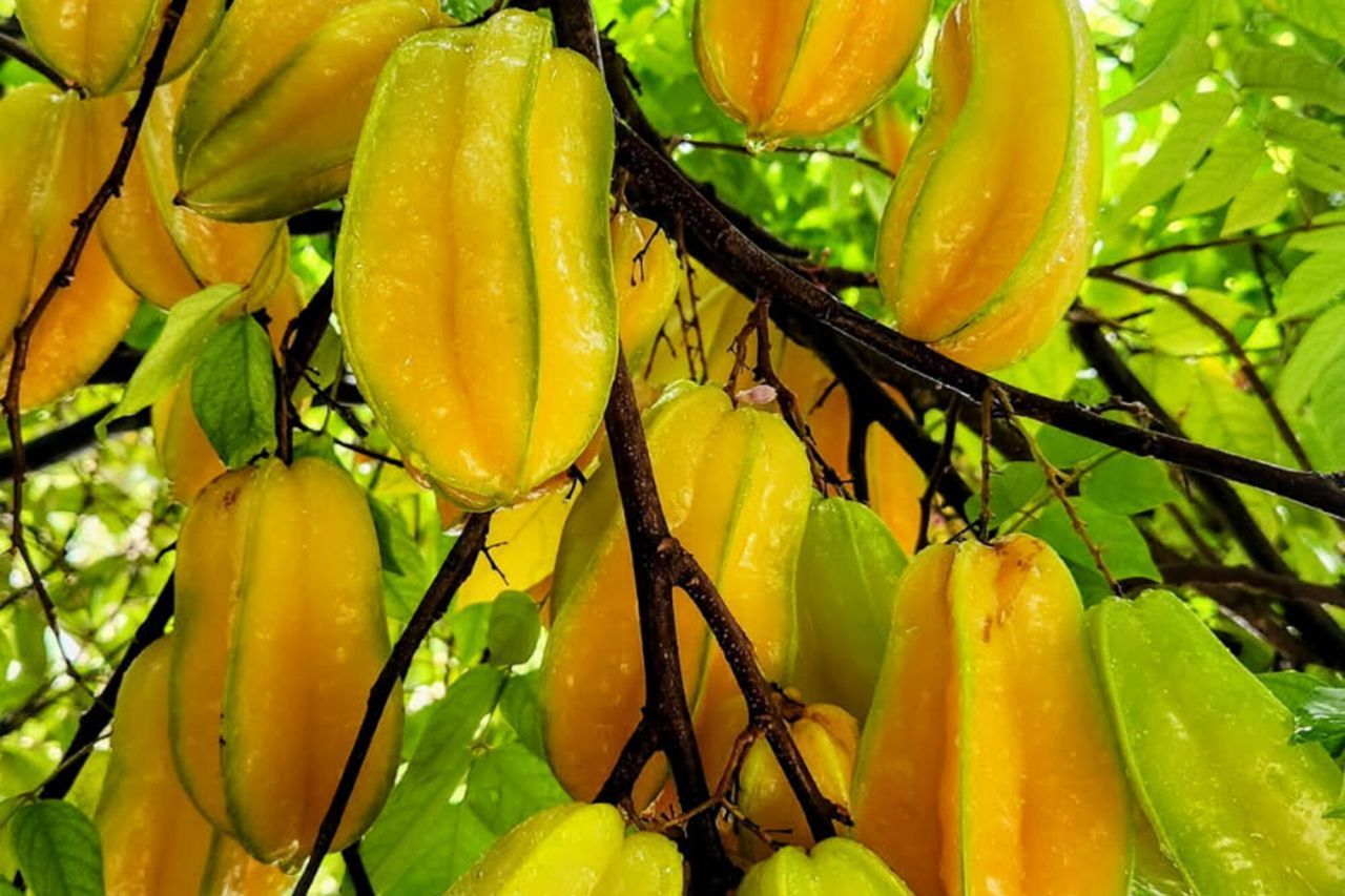 1112 Grand Street, Unit and Half L, Key Largo, FL 33037 Photo