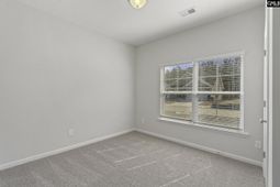 763 Clementine Run photo 4