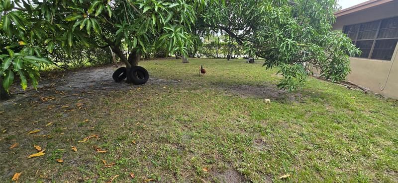 17230 NW 10th Court, Miami, FL 33169 Photo