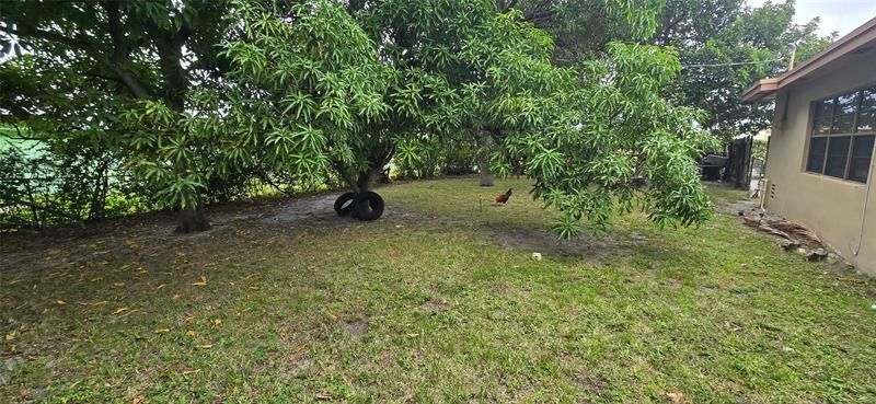 17230 NW 10th Court, Miami, FL 33169 Photo