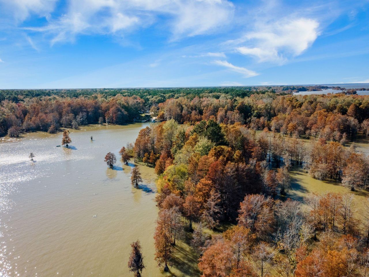 708 Ferguson Landing Way Photo 18