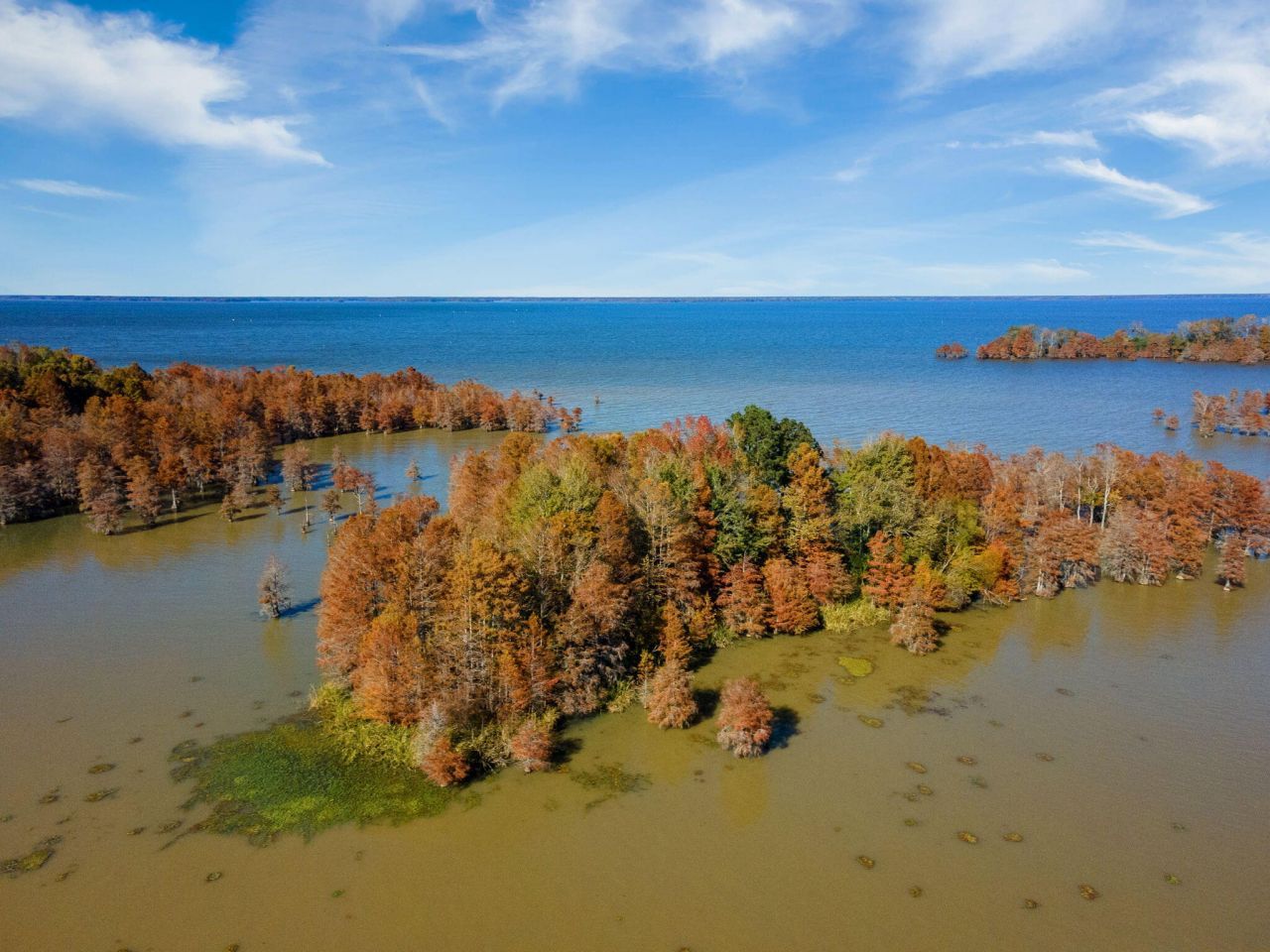 708 Ferguson Landing Way Photo 6