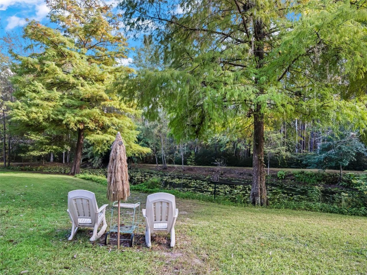 15260 NE 152nd Place, Fort Mc Coy, FL 32134 Photo