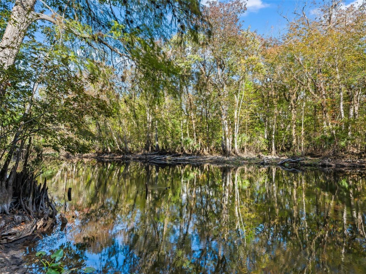 15260 NE 152nd Place, Fort Mc Coy, FL 32134 Photo