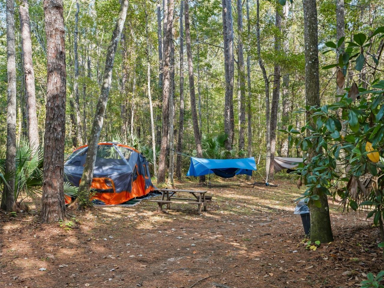 15260 NE 152nd Place, Fort Mc Coy, FL 32134 Photo