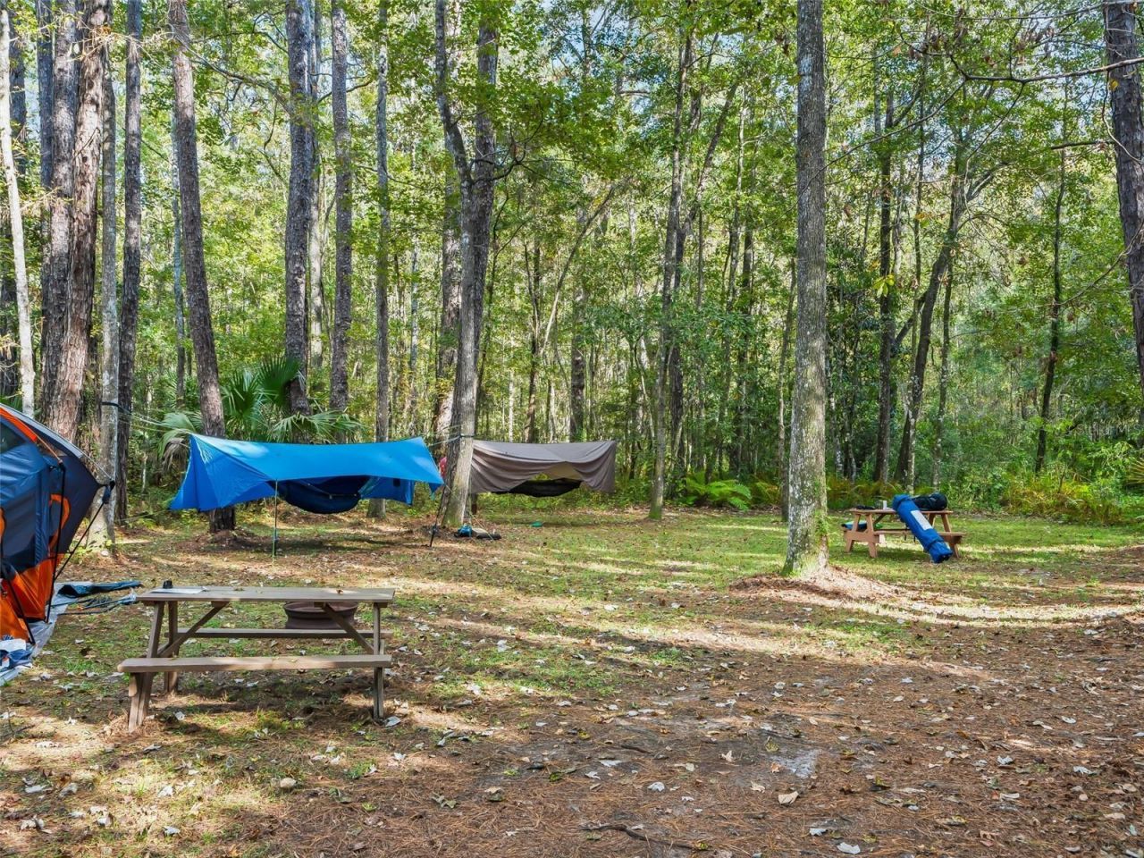 15260 NE 152nd Place, Fort Mc Coy, FL 32134 Photo