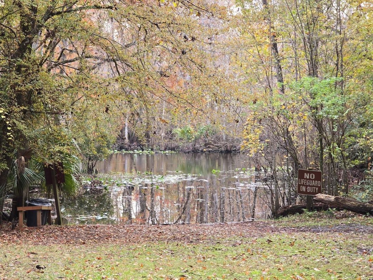 15260 NE 152nd Place, Fort Mc Coy, FL 32134 Photo