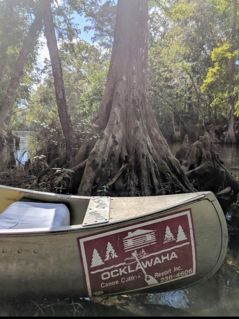 15260 NE 152nd Place, Fort Mc Coy, FL 32134 Photo