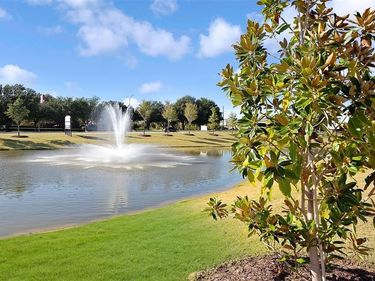 8031 Sunflower Lane, Dallas, TX 75252