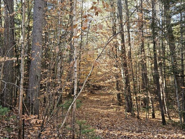 183 Mountain Path, North Creek, NY 12853