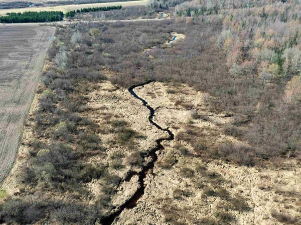 +/-21.5 Acres COUNTY ROAD M, Rib Lake, WI 54470