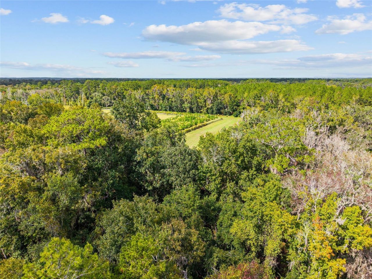 8543 NW 71 Terrace, Gainesville, FL 32653 Photo