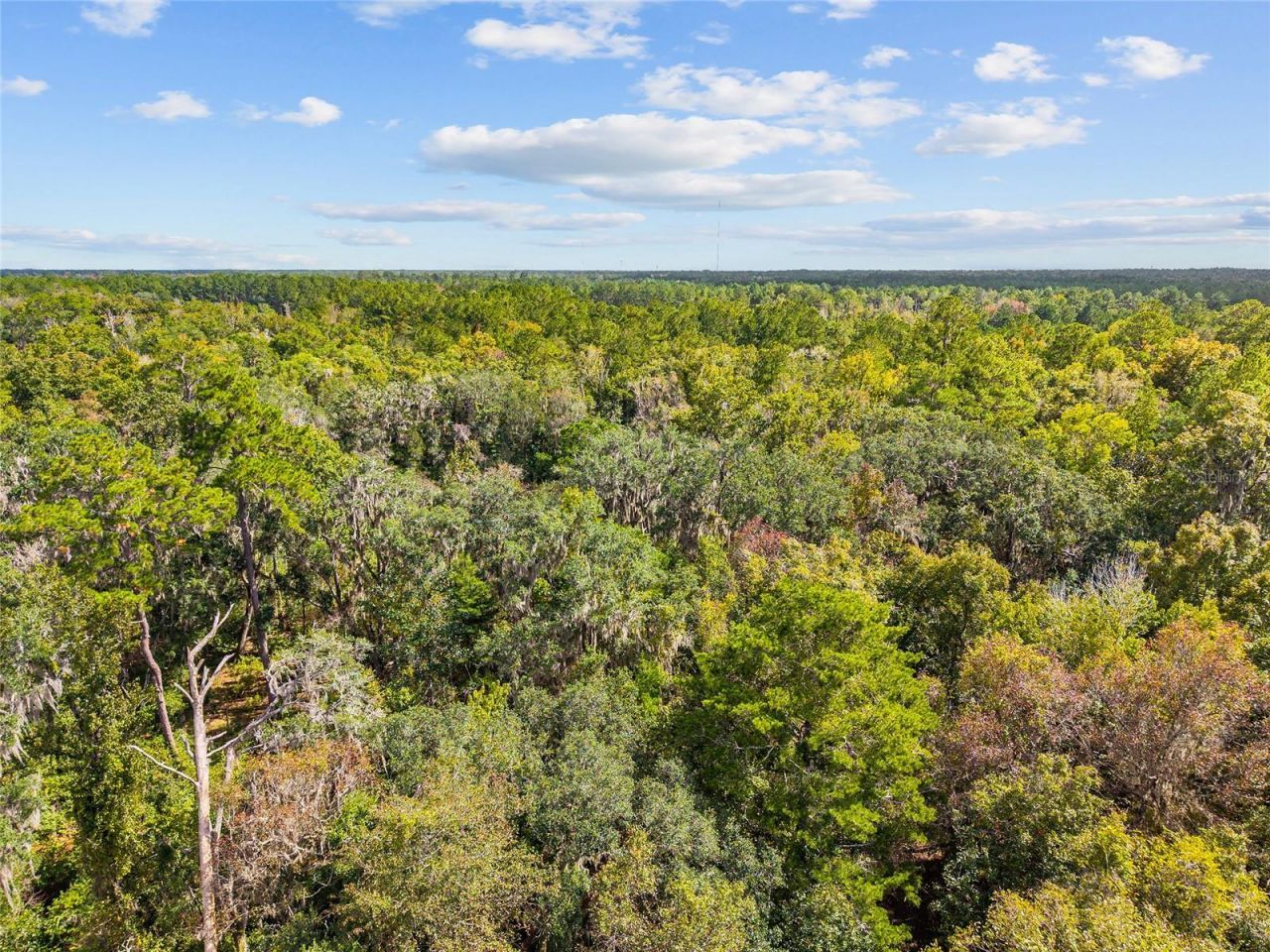 8543 NW 71 Terrace, Gainesville, FL 32653 Photo