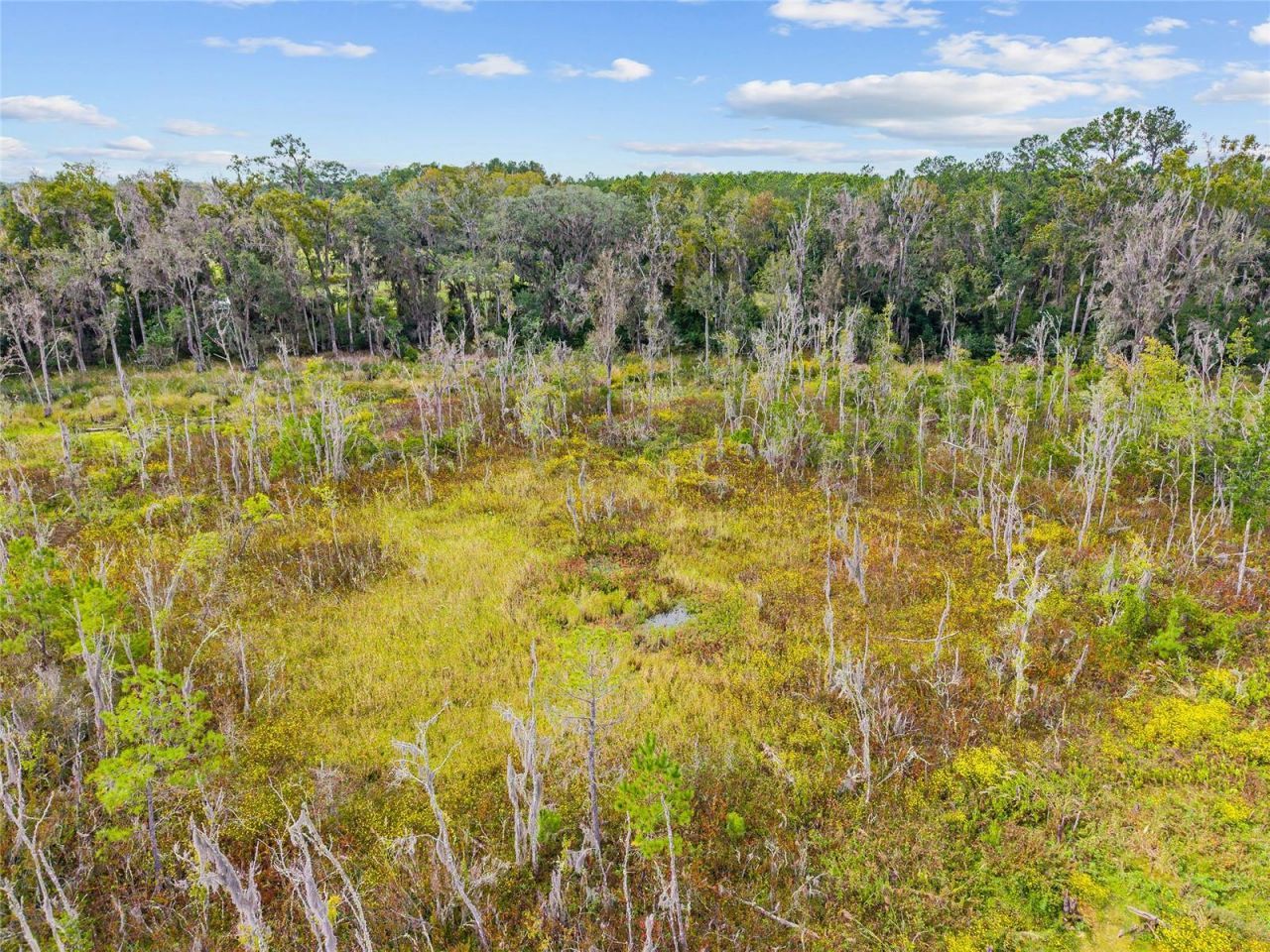 8543 NW 71 Terrace, Gainesville, FL 32653 Photo