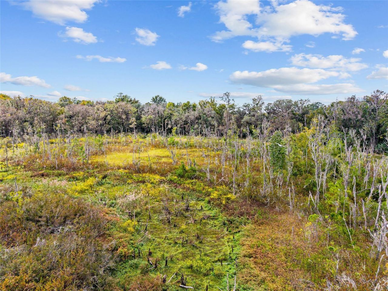 8543 NW 71 Terrace, Gainesville, FL 32653 Photo