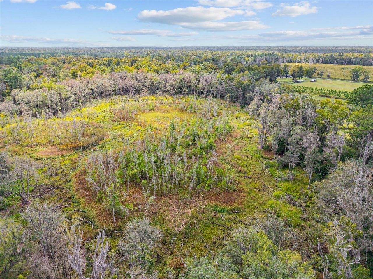 8543 NW 71 Terrace, Gainesville, FL 32653 Photo