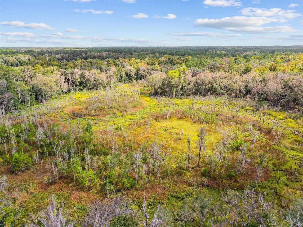 8543 NW 71 Terrace, Gainesville, FL 32653 Photo