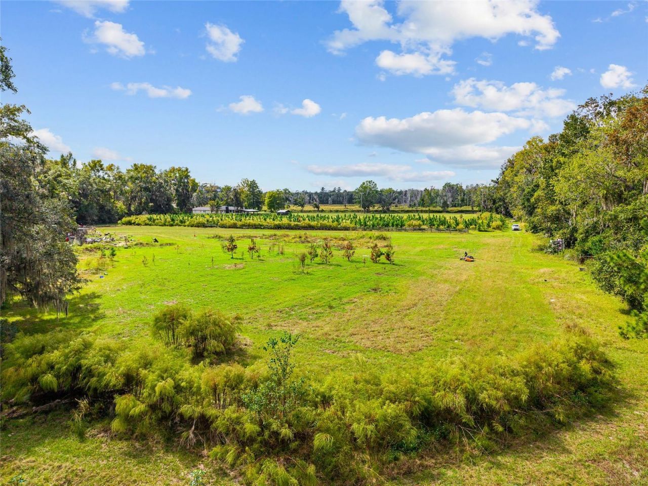 8543 NW 71 Terrace, Gainesville, FL 32653 Photo