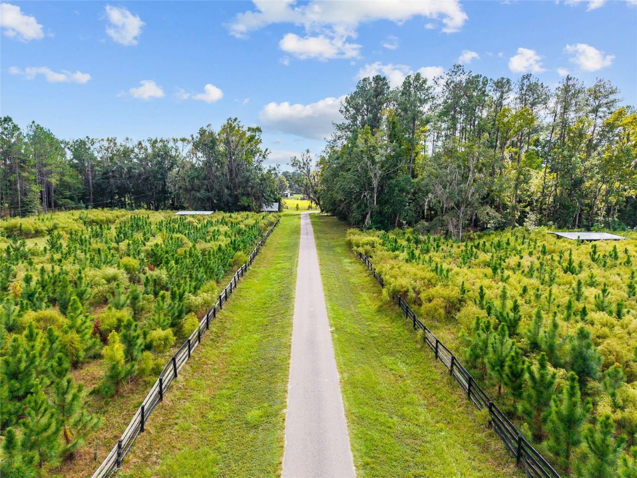 8543 NW 71 Terrace, Gainesville, FL 32653 Photo