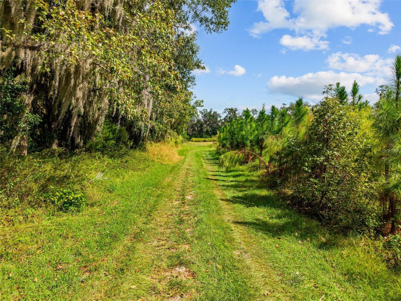 8543 NW 71 Terrace, Gainesville, FL 32653 Photo