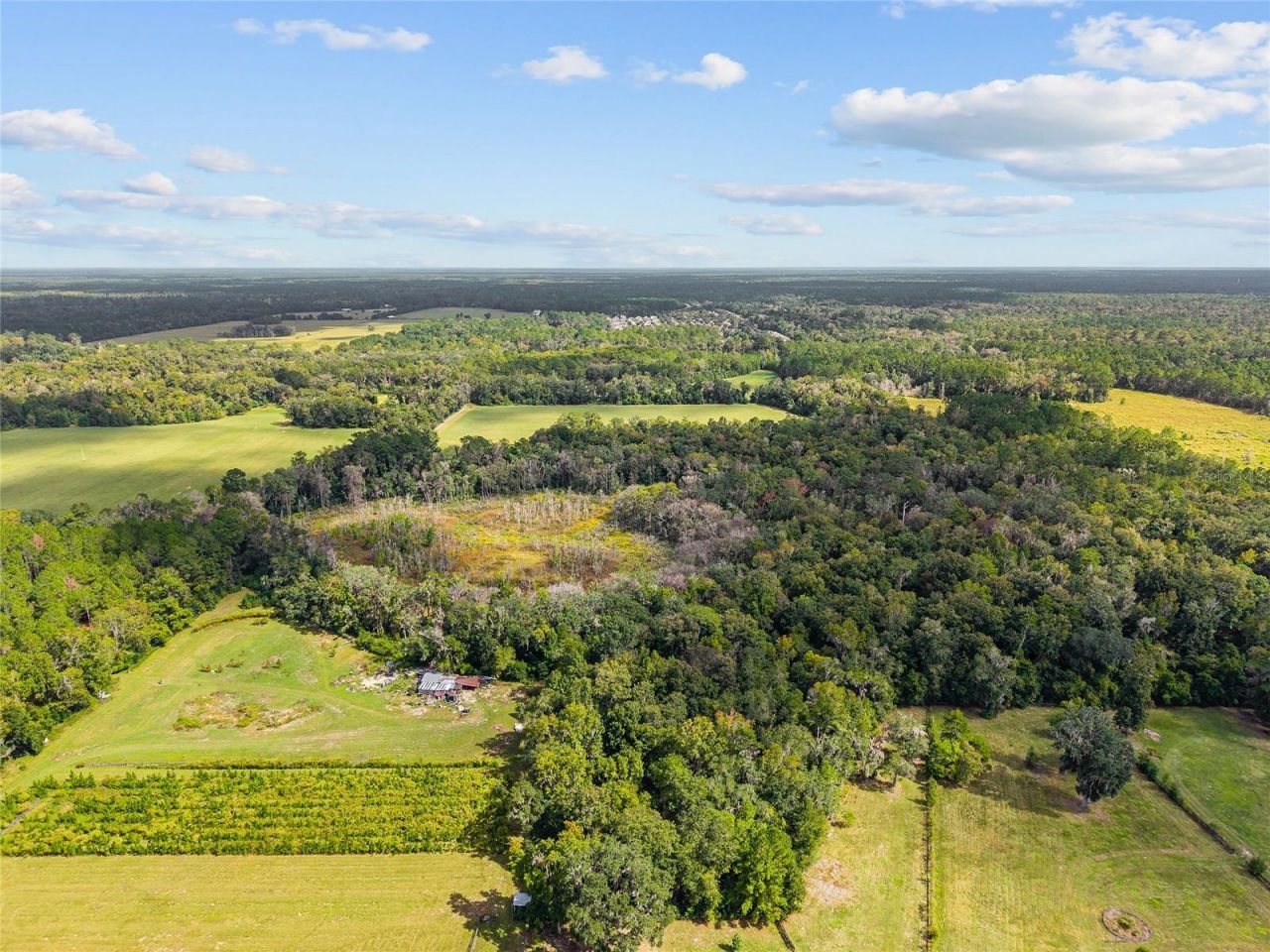 8543 NW 71 Terrace, Gainesville, FL 32653 Photo