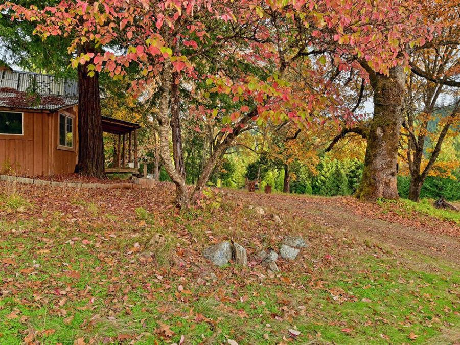 Property Image 75