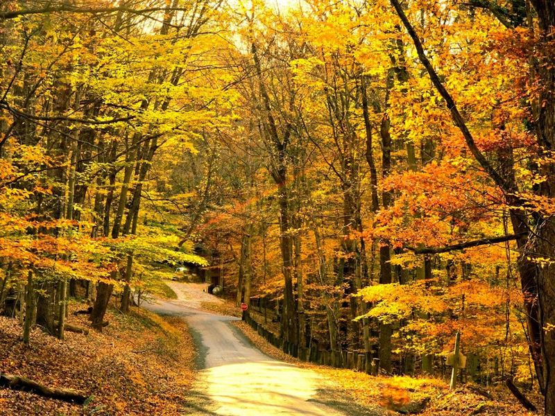 1832 Piegan Court , Hideaway Hills, OH 43107 Photo 13