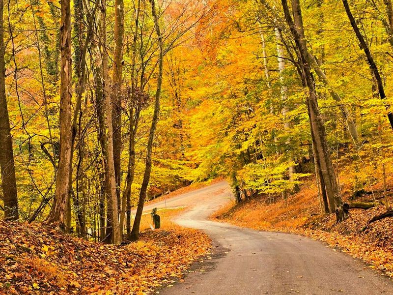 1832 Piegan Court , Hideaway Hills, OH 43107 Photo 14