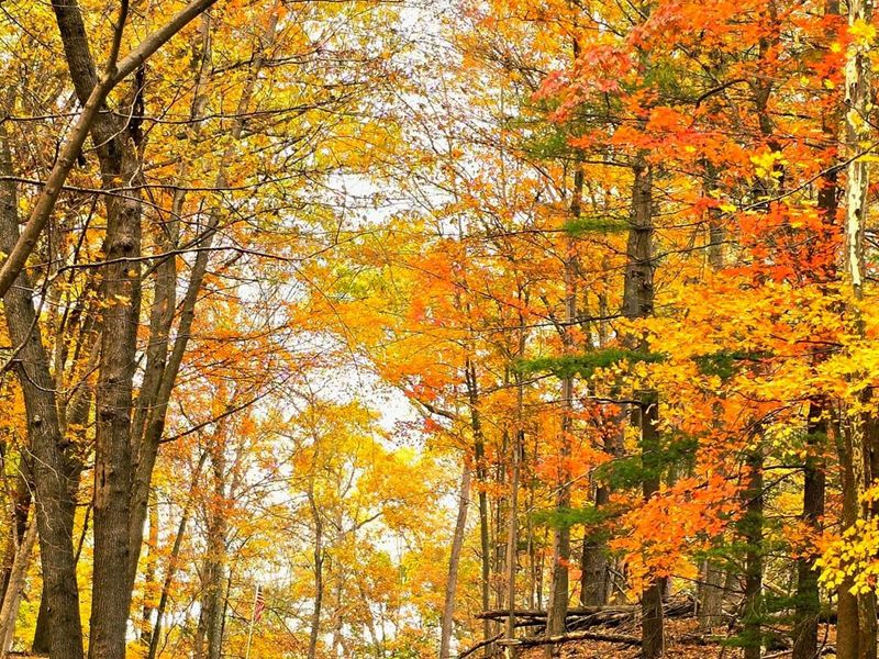 1832 Piegan Court , Hideaway Hills, OH 43107 Photo 15