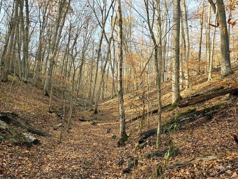 1832 Piegan Court , Hideaway Hills, OH 43107 Photo 3