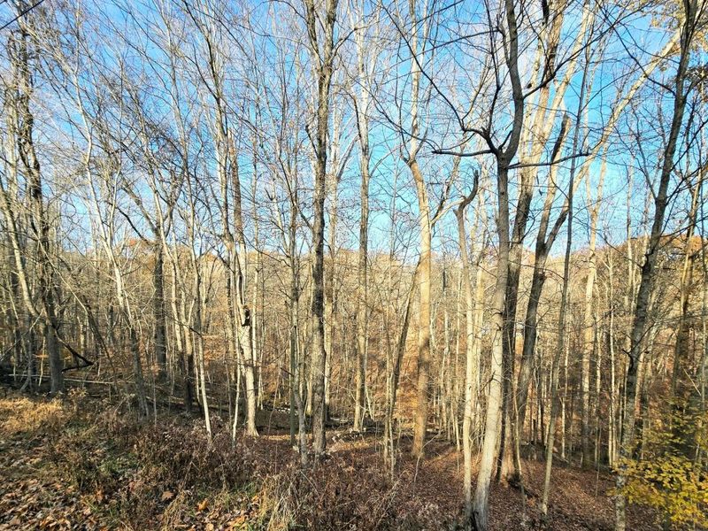 1832 Piegan Court , Hideaway Hills, OH 43107 Photo 4