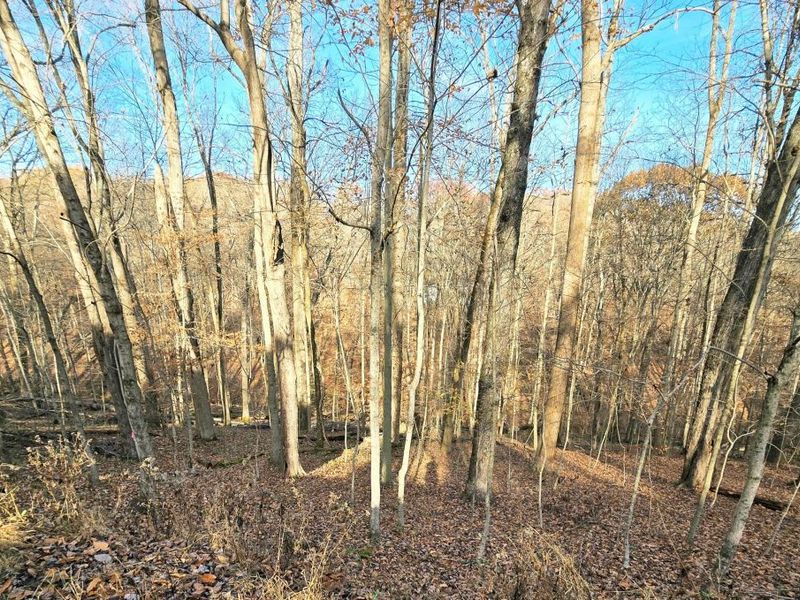 1832 Piegan Court , Hideaway Hills, OH 43107 Photo 5