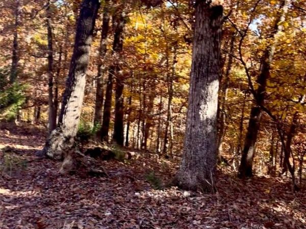 Lot 3, Block 3 Bridgeport Lane, Bella Vista, AR 72715