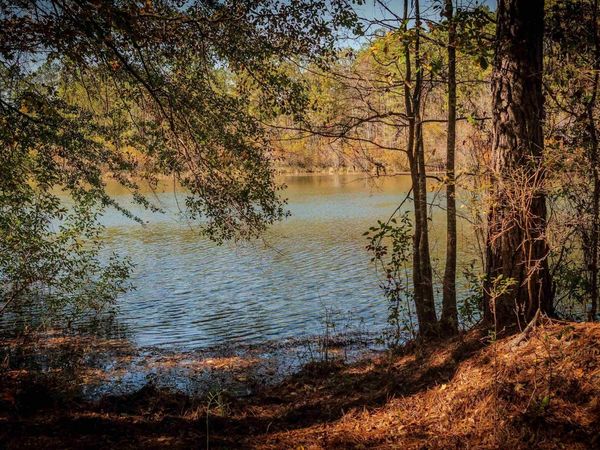 1446 Avera Road, Roberta, GA 31078