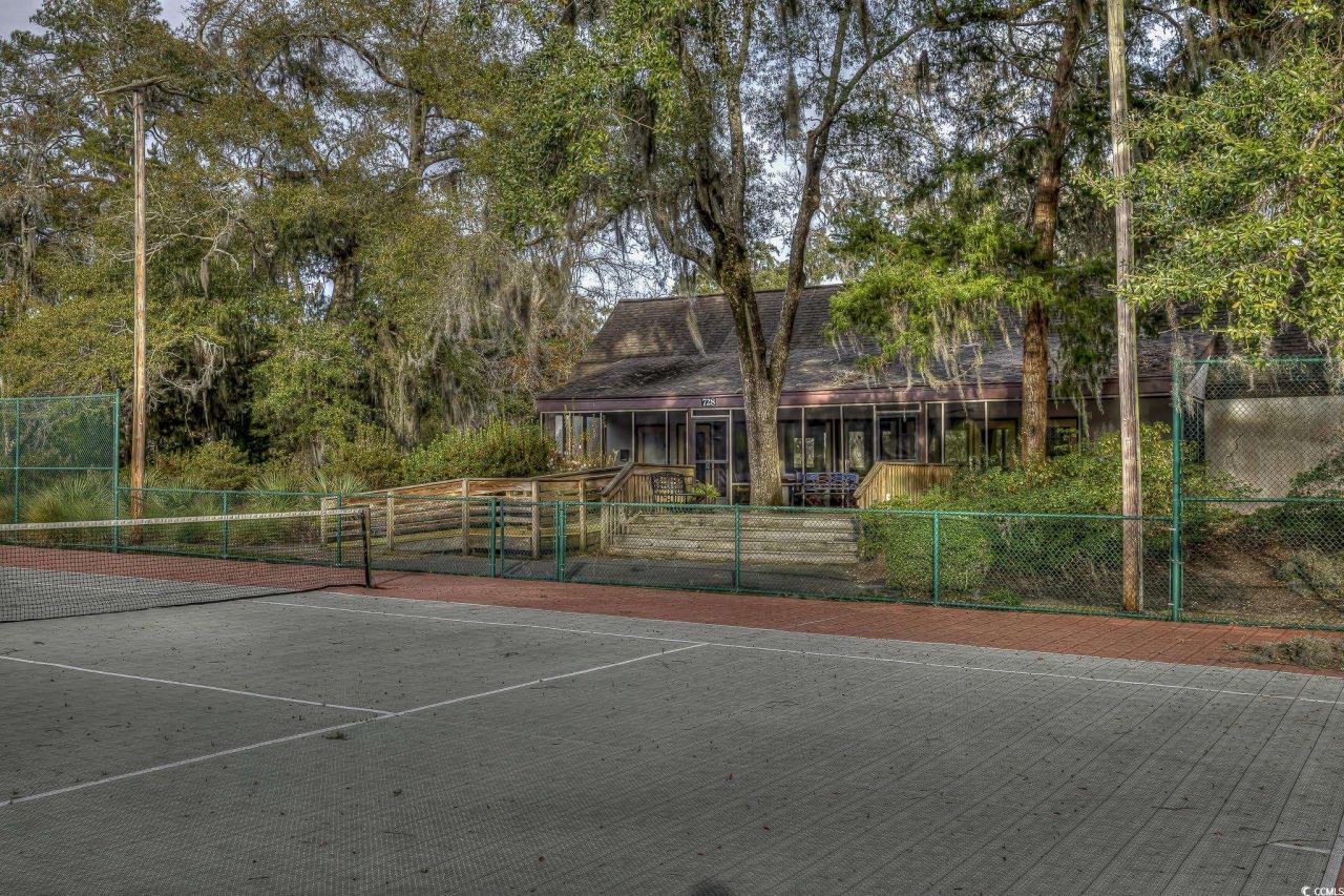 204 Bamboo Loop Photo 30