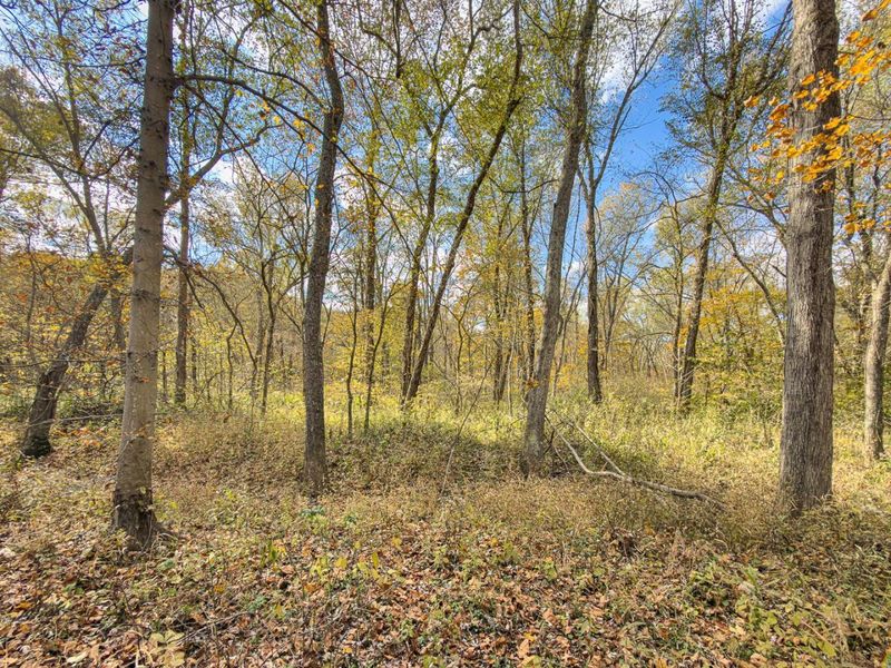 0 Hawk Station Road, Vinton, OH 45686 Photo 11