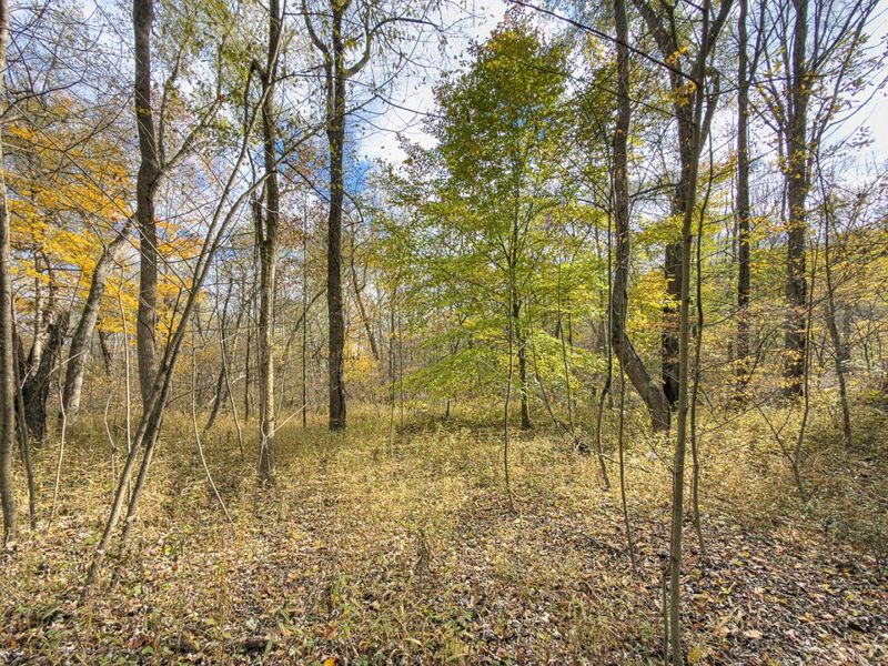 0 Hawk Station Road, Vinton, OH 45686 Photo 12