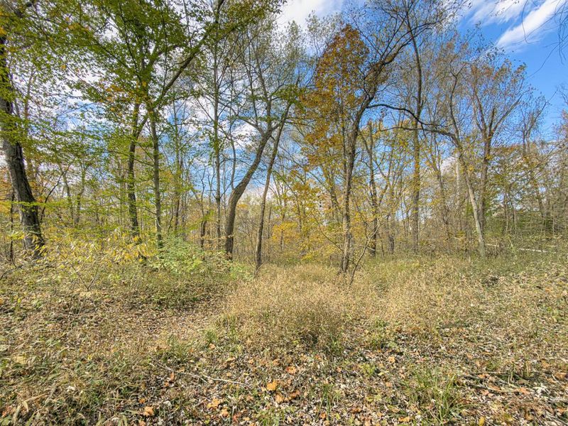 0 Hawk Station Road, Vinton, OH 45686 Photo 13