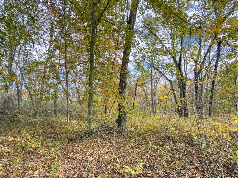 0 Hawk Station Road, Vinton, OH 45686 Photo 15