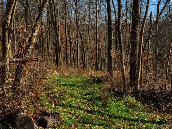 0 TURBEN RIDGE ROAD, Soldiers Grove, WI 54655