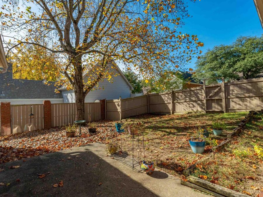 Property Image 38